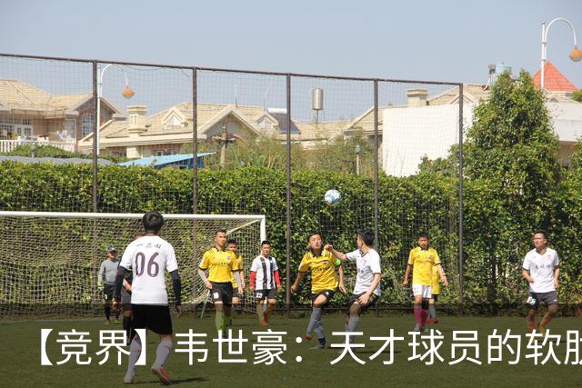【竞界】韦世豪：天才球员的软肋 洪七公效应的外溢